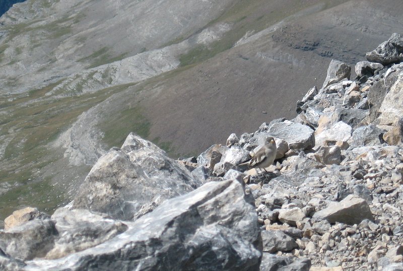 neděle 2.9 Góriz-Monte Perdido 3355 m